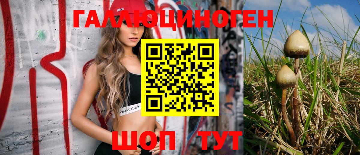 Галлюциногенные грибы Psilocybe Зерноград