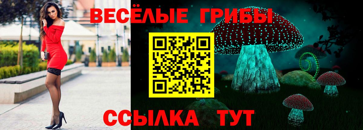 Зерноград  Псилоцибиновые грибы прущие грибы  Вход с VPN 